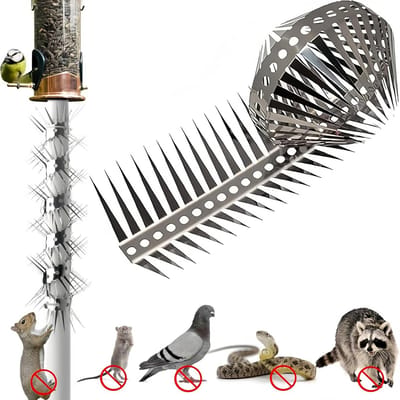 Famanu – Anti Dier Klimmen Doornen Vogel Spikes Eekhoorn Baffle voor feeders Eekhoorn Afschrikmiddel Duiven Afschrikmiddel Vogelnest Preventer Afweren Eekhoorns (1xThorn Lengte 5cm)
