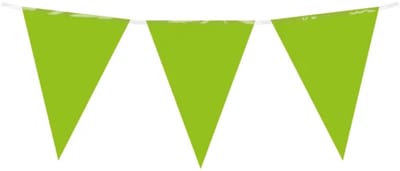 10 meter vlaggenlijn - Lichtgroen - 15 vlaggen - Plastic voor binnen & buiten - 30 cm vlaggen - Herbruikbare slinger
