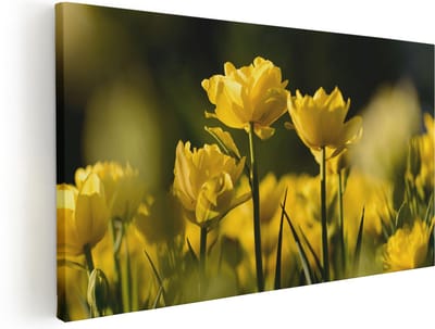 Artaza Canvas Schilderij Gele Bloemen - 100x50 cm - Wanddecoratie Bloemen - Muurdecoratie Woonkamer - Schilderijen Op Canvas