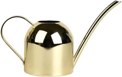 Binnen Gieter - Kleine Sproeier - Planten Water Geven - Roestvrij Staal - 450ml - Goud