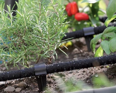 Set van 50 tuinslangankers voor druppelirrigatie - Hoogwaardige grondspikes