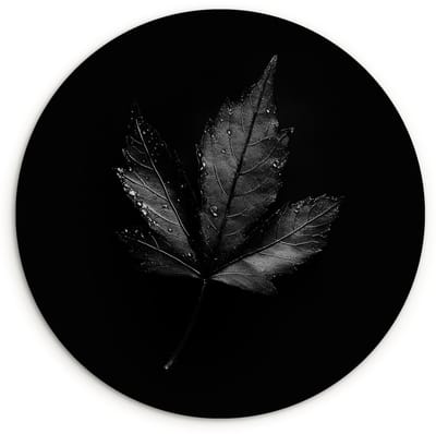 WallCircle® Wandcirkel 120x120 cm - Muurcirkel Zwart - Blad - Muurdecoratie woonkamer - Wanddecoratie slaapkamer - Kamer decoratie accessoires - Ronde schilderijen XXL