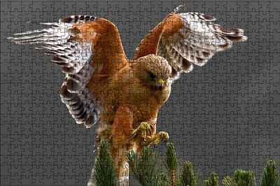 Houten Puzzel - 1000 Stukjes - Ontspanning Thuis - Hoge Kwaliteit Hout - 75x50cm - Gekleurd