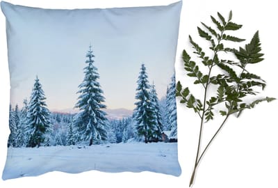 Sierkussens - Kussentjes Woonkamer - 45x45 cm - Winter - Sneeuw - Bomen - Kerstversiering - Kerstdecoratie voor binnen - Woonkamer
