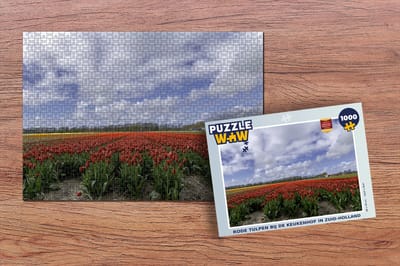 Puzzel Rode tulpen bij de Keukenhof in Zuid-Holland - Legpuzzel - Puzzel 1000 stukjes volwassenen