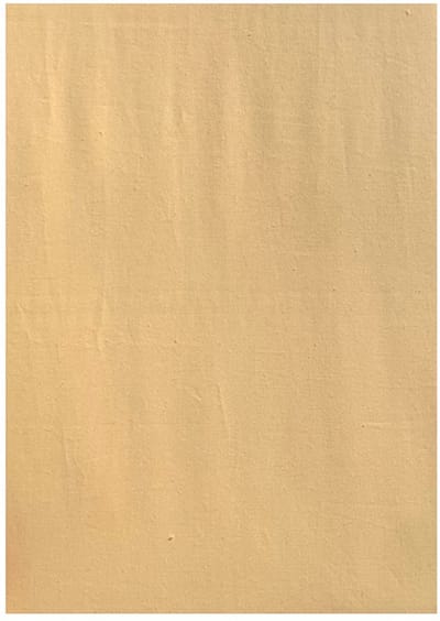 Acanthus Kussenslopen Perkal Katoen - 60x70 cm - 2 Stuks - Geel