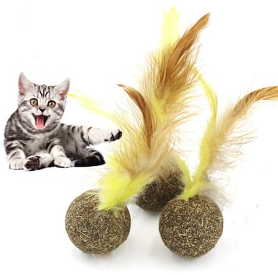Kattenkruid speeltje - Kattenspeeltje - Kattenspeelgoed - Huisdierenspeeltje - Gevuld met kattenkruid - Veertjes - 1 stuk - Jonyx