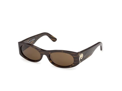 Pucci EP0243 Havana/striped 54/19/135 WOMAN Zonnebrillen