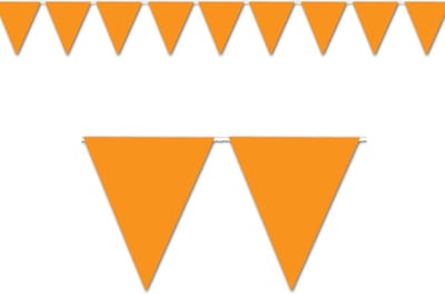 Oranje vlaggenlijn - slinger - Koningsdag - EK/WK - 20 x 30cm - 16x10m - 160 meter