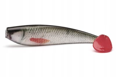 Fox Rage Pro Zander Ultra Natural Roach 7,5cm Kunstaas