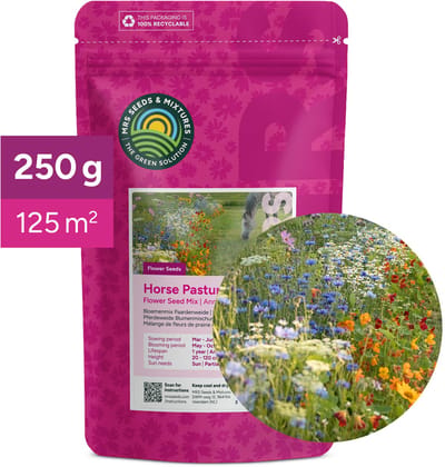 Bloemenmix paardenweide - 250 gram (125 m²) - Bloemenmengsel voor naast de weide - Veilig voor paarden - Lokt nuttige insecten - Kleurrijke wilde bloemen