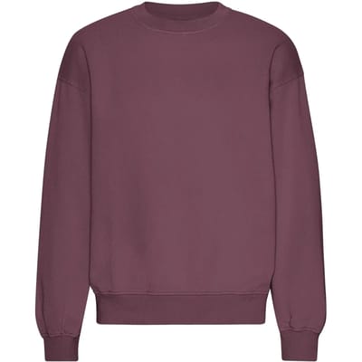 Oversized sweatshirt met ronde hals Colorful Standard Organic Dusty Plum