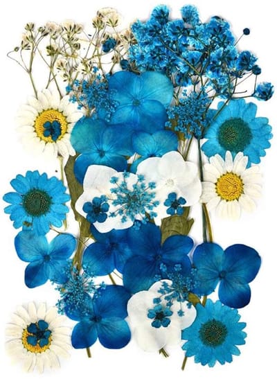 Dailygoods- Gedroogde Bloemen Natuurlijke Mix - Blauw/Wit - Voor Bloemendecor/Knutselen - Epoxyharsvormen - Scrapbooking - Inhoud: Hortensia/Narcis/Sneeuwklokjes - Droogbloemen