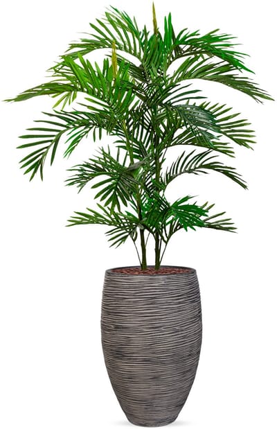 Kunstplant Arecapalm in Vaas elegant Deluxe rib antraciet H160 cm