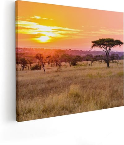 Artaza Canvas Schilderij Savanne Zonsondergang - 50x40 cm - Wanddecoratie Afrika - Muurdecoratie Natuur - Kamer Accessoires Woonkamer