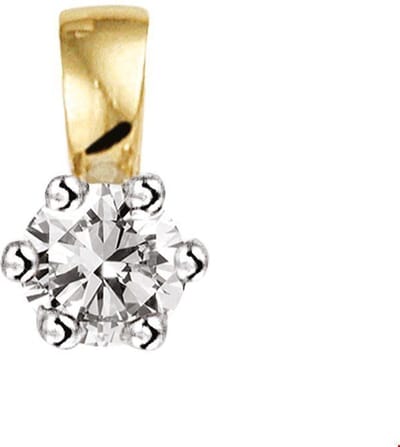 Huiscollectie Hanger Bicolor Goud Diamant 0.10ct H SI
