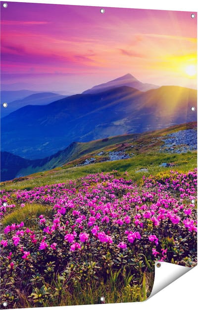 Gards Tuinposter Roze Rhododendron Bloemenveld - Bergen - 90x120 cm - Tuindoek - Tuindecoratie - Wanddecoratie buiten - Tuinschilderij