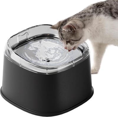 Waterbak Hond - Drinkbak Kat - Morsvrij Drinken - Flow-Guiding Rim Technology - 20 x 20 x 14 cm