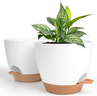 Dailygoods- Zelfwaterende Plantenpot 20 Cm - 2-Pack - Plastic Bloemenpot - Drainage Gaten - Waterreservoir - Voor Binnen/Buitenplanten - Plantenbak
