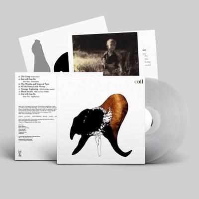 Black Antlers - Coil