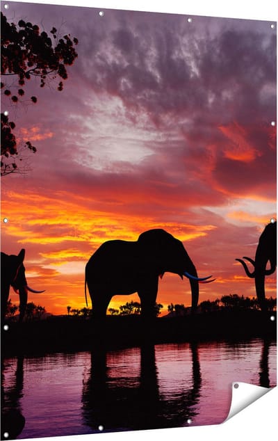 Gards Tuinposter Olifanten tijdens Zonsondergang - Silhouet - 120x160 cm - Tuindoek - Tuindecoratie - Wanddecoratie buiten - Tuinschilderij