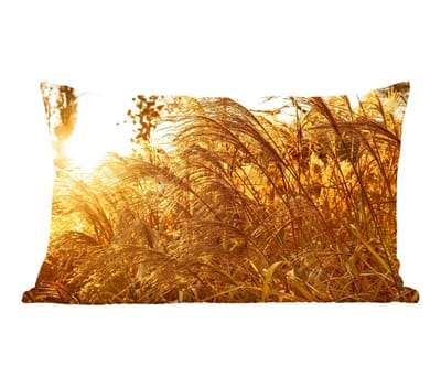 Sierkussens - Kussentjes Woonkamer - 50x30 cm - Pampasgras - Zon - Gras