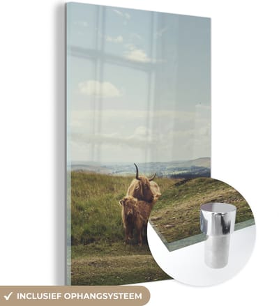MuchoWow® Glasschilderij 120x180 cm - Schilderij acrylglas - Schotse Hooglanders - Gras - Wolken - Dieren - Foto op glas - Schilderijen