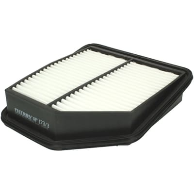 Luchtfilter FILTRON AP173/3
