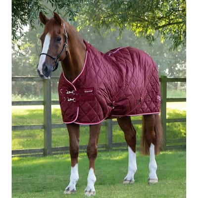 Paardendeken Premier Equine 100g