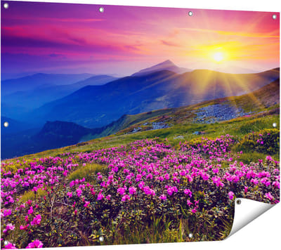 Gards Tuinposter Roze Rhododendron Bloemenveld - Bergen - 120x90 cm - Tuindoek - Tuindecoratie - Wanddecoratie buiten - Tuinschilderij