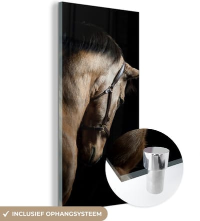 MuchoWow® Glasschilderij 20x40 cm - Schilderij acrylglas - Paarden - Halster - Zwart - Foto op glas - Schilderijen