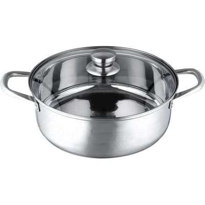 Acier Inoxydable Marmite Fond Épais Universel Casserole Acier Inoxydable avec Couvercle 10,2 po 26cm / 10.2in