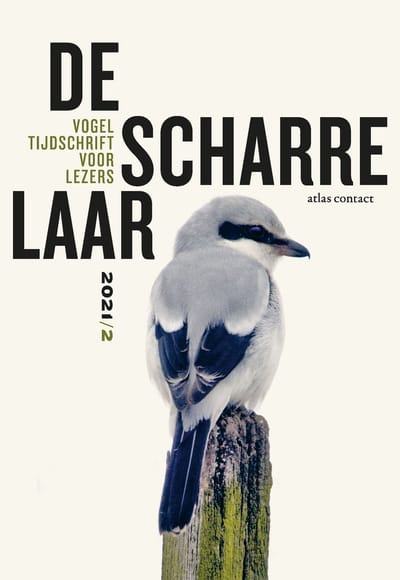 De Scharrelaar / 2021/2 - De Scharrelaar - Diverse auteurs