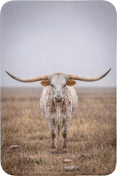 Badmat 60x90 cm - Antislip - Longhorn - Grasveld - Dier - Badmatten voor badkamer - Badkamermat - Douchemat - Badkamer mat