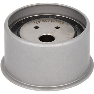 Tandriempoelie SKF VKM 75009