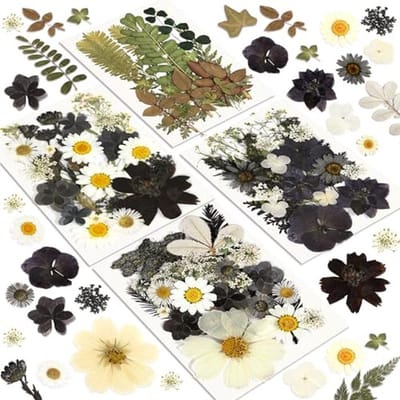 100 Stuks Gedroogde Bloemen Set voor Resin en Creatieve Projecten