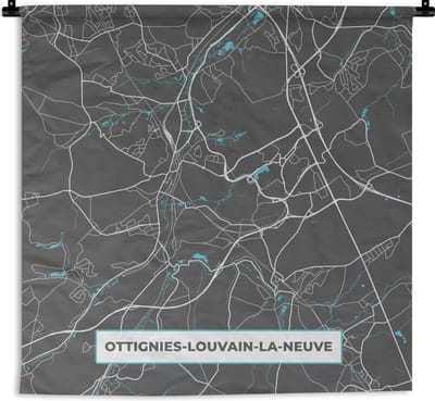 Wandkleed - Wanddoek - Stadskaart – Grijs - Kaart – Ottignies Louvain la Neuve – België – Plattegrond - 180x180 cm - Wandtapijt