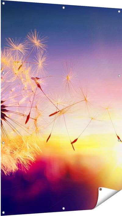 Gards Tuinposter Paardenbloem tijdens Zonsondergang - 100x150 cm - Tuindoek - Tuindecoratie - Wanddecoratie buiten - Tuinschilderij