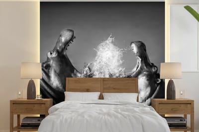 Behang - Fotobehang Dieren - Nijlpaard - Water - Zwart - Wit - Breedte 280 cm x hoogte 280 cm