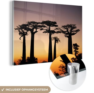 ® Glasschilderij 180x120 cm - Schilderij acrylglas - Een silhouet van meerdere Afrikaanse baobab bomen bij zonsondergang - Foto op glas - Muurdecoratie woonkamer - Wanddecoratie slaapkamer - Schilderijen
