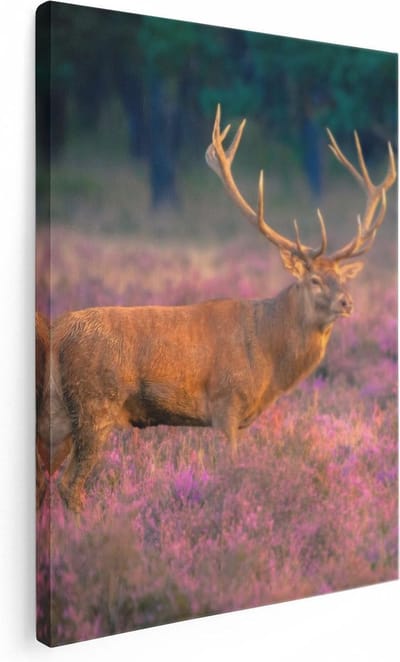 Artaza Canvas Schilderij Edelhert - 30x40 cm - Klein - Muurdecoratie Heide - Wanddecoratie Gewei - Kamer Accessoires