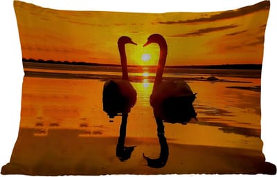Buitenkussens - Tuin - Zwanen - Zonsondergang - vogel - Oranje - Water - 50x30 cm