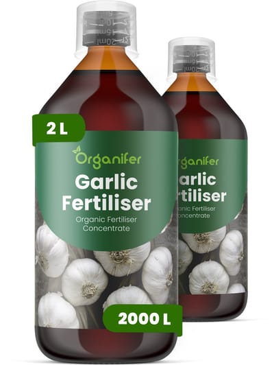 Vloeibare Meststof Voor Knoflook 2X1 L Voor 2000 L - Npk 2-1-8 - Sterke Loofontwikkeling - Bolontwikkeling - Vroege Wortelvorming - Voedingsopname - Bolvastheid - Verbetert Bolvastheid - Uniformiteit En Bewaarbaarheid - Organifer