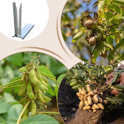 Notenverzamelaar - Vruchtenplukker - Oogsten van fruit - Verbeterd V-V ontwerp - Lange steel - Zwart