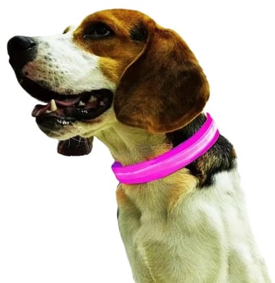 Verstelbare Halsband Voor Hond Met LED Licht I LED Honden Halsband I Nylon I Glow In Dark I Maat L (45 - 52CM) I Roze