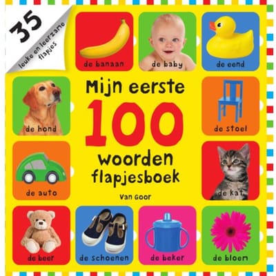 Mijn Eerste 100 Woorden Flapjesboek - Mijn Eerste 100 - Roger Priddy