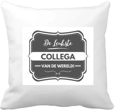 Akyol - de leukste collega Kussen hoes - Collega - beste collega - werk - afscheidscadeau - verjaardagscadeau - kado - 40 bij 40 cm