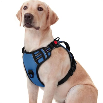 JAXY Hondenharnas - Hondentuig - Hondentuigje Kleine Hond - Y Tuig Hond - Harnas Hond - Anti Trek Tuig Hond - Reflecterend - Maat XL - Blauw