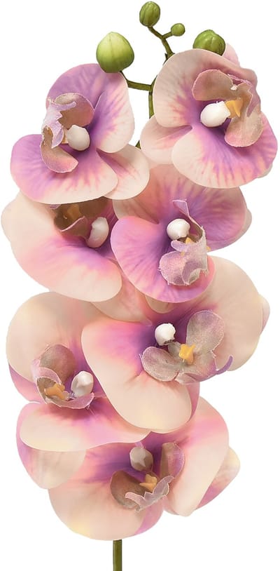 Orchidee Phalaenopsis kunst 7 bloemen paars crème 73cm