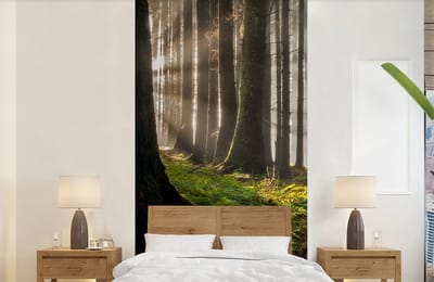 Behang - Fotobehang Zon - Takken - Bomen - Bos - Natuur - Breedte 120 cm x hoogte 240 cm